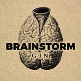 Brainstorm Rocks - GiNFAMILY